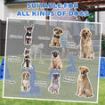 Load image into Gallery viewer, Dog Agility Equipment Set, Portable Pet Jump Training Kit for Six Cones, Six Poles with Carry Bag, Three-Piece Adjustable Height Jumping Obstacles, Blue
