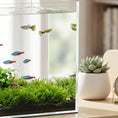 Load image into Gallery viewer, 51L Fish Tank, Glass Aquarium, Small Fish Tank with Protective Base Mat, for Shrimps, Turtles, Transparent, 60 x 30 x 30 cm
