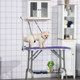 Load image into Gallery viewer, Foldable Pet Grooming Arm w/ Clamp 30 Inch Height Adjustable, Dog Grooming Loop, Two No Sit Haunch Holders for Small Medium Dogs, Sliver
