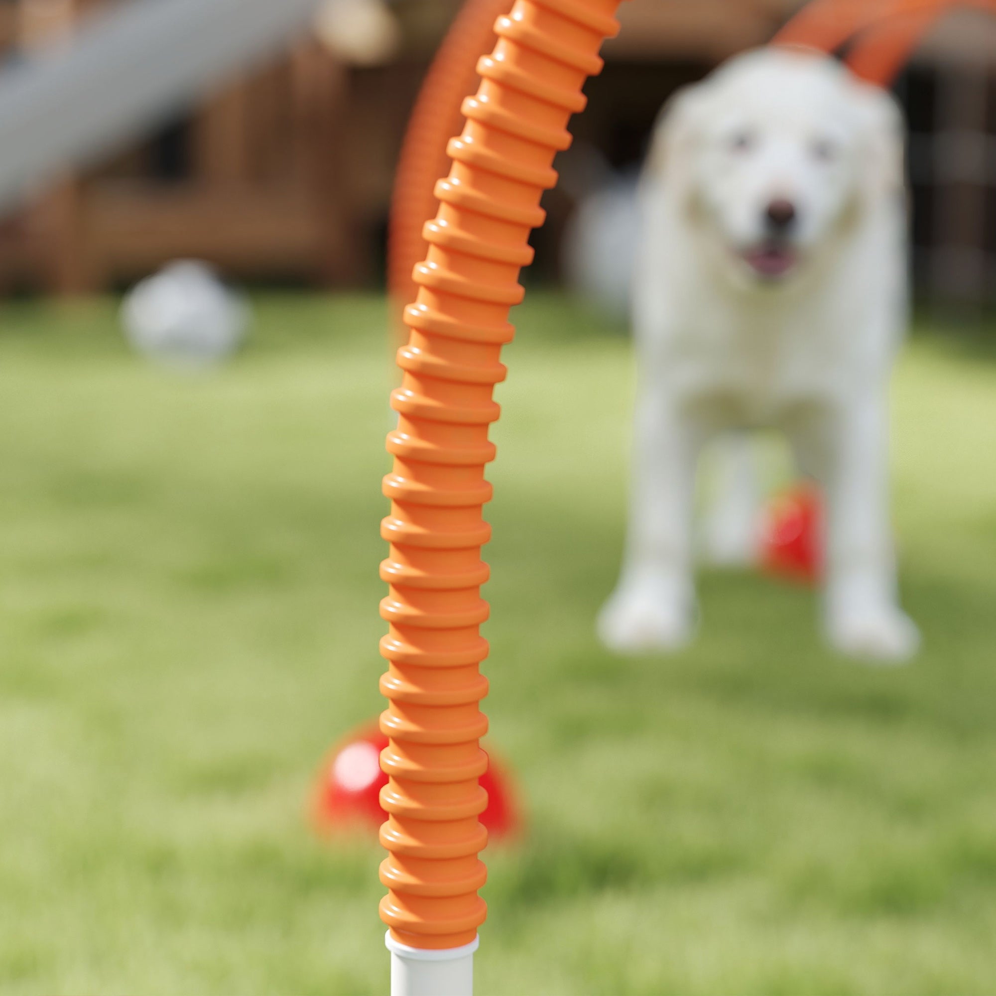 4 Piece Dog Agility Training Equipment with 4 Adjustable Width Doors, Carry Bag, Easy to Assemble, Dog Obstacle Course for Garden, Orange