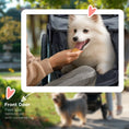 Load image into Gallery viewer, Pet Stroller for Small and Medium Dogs, 3 Big Wheels Cat Stroller Travel Folding Carrier with Adjustable Canopy, Safety Tether, Storage Basket, Black

