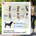 Load image into Gallery viewer, Pet Stroller for Small and Medium Dogs, 3 Big Wheels Cat Stroller Travel Folding Carrier with Adjustable Canopy, Safety Tether, Storage Basket, Black
