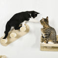 Load image into Gallery viewer, 4PCs Wall Mounted Cat Tree Cat Wall Shelves Furniture Climbing Shelf Set Kitten Activity Centre w/ Hammock, Scratching Post - Beige
