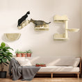 Load image into Gallery viewer, 4PCs Wall Mounted Cat Tree Cat Wall Shelves Furniture Climbing Shelf Set Kitten Activity Centre w/ Hammock, Scratching Post - Beige
