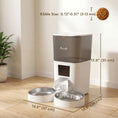 Load image into Gallery viewer, 6L Automatic Cat Feeder with App Control Timed 1-10 Meals & 10s Voice Recorder
