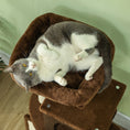 Charger l'image dans la visionneuse de la galerie, Cat Tree for Large Cat Adults, 41 Inch Cat Tower for Indoor Cats w/ Scratching Posts, Cat Bed, Condo, Grooming Brush, Jumping Platforms, Toy Balls, Anti-tip Kit, Brown
