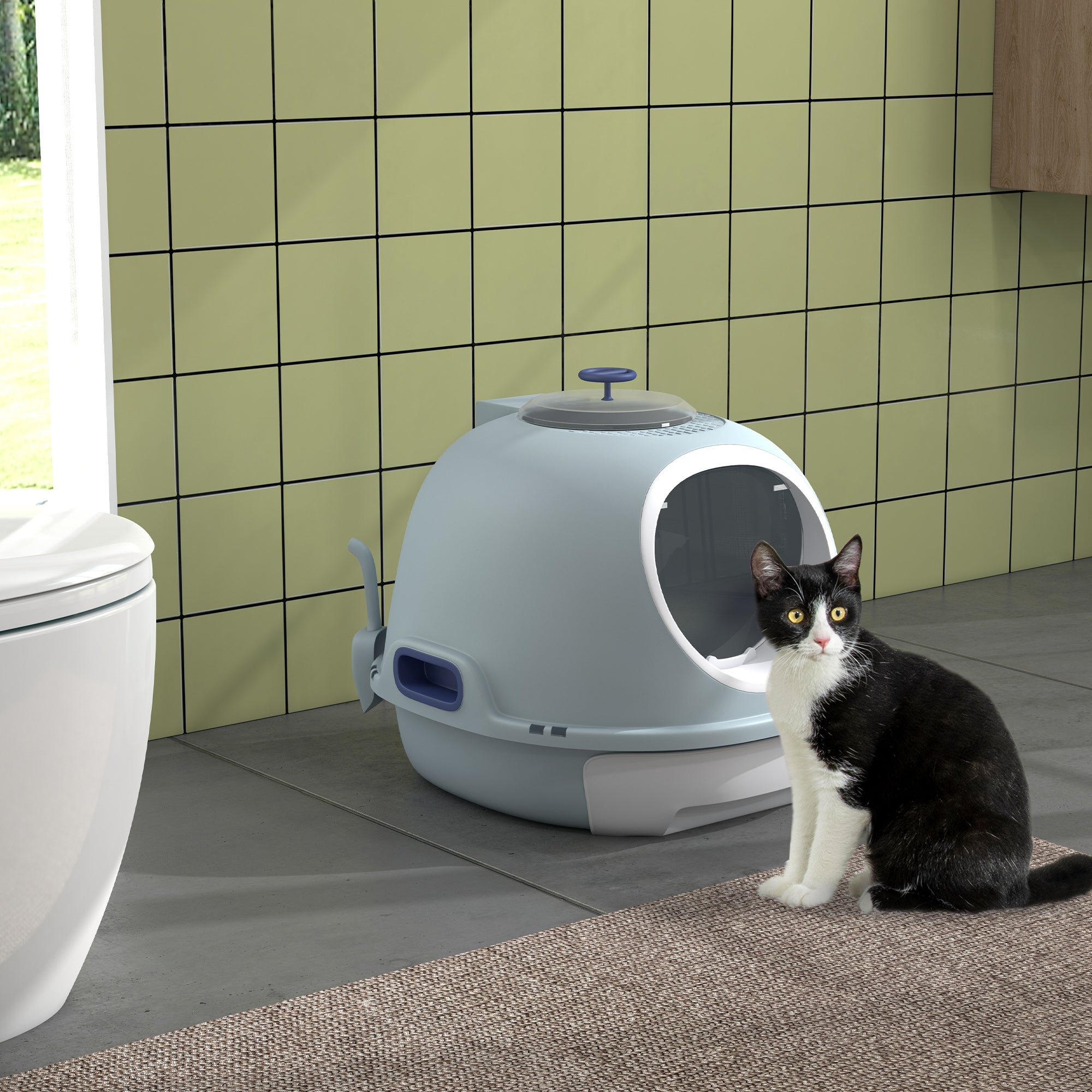 Enclosed Cat Litter Box, Covered Litter Box with Lid and Scoop, Cat Box Enclosure with Pull-out Drawer Type, Front Door and Skylight, Easy to Clean, Blue
