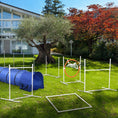Load image into Gallery viewer, Dog Agility Equipment Set 6 PCs with 3(m) Tunnel, Canine Whistle, Pause Box, Dog Jumps, Weave Poles
