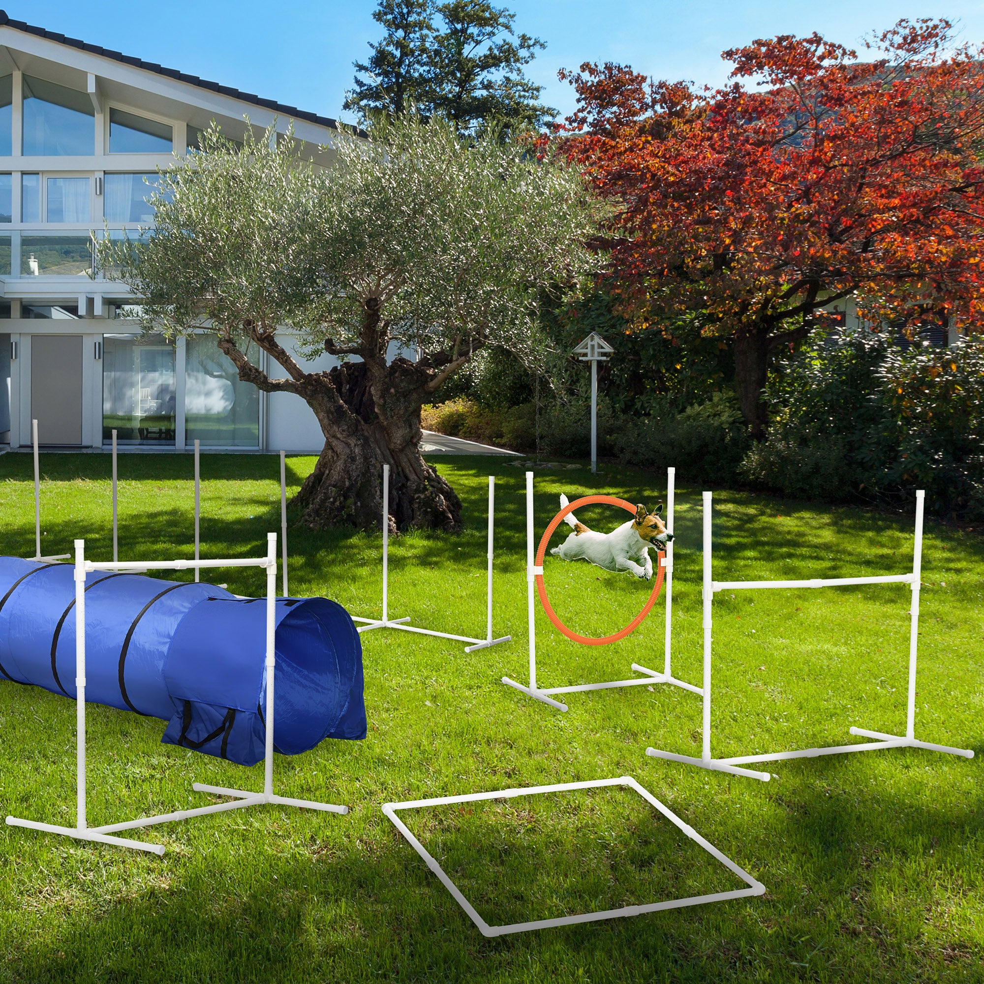 Dog Agility Equipment Set 6 PCs with 3(m) Tunnel, Canine Whistle, Pause Box, Dog Jumps, Weave Poles