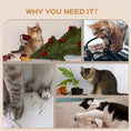 Load image into Gallery viewer, 4PCs Wall Mounted Cat Tree Cat Wall Shelves Furniture Climbing Shelf Set Kitten Activity Centre w/ Hammock, Scratching Post - Grey
