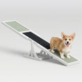 Load image into Gallery viewer, Pupstacle 71" Wooden Dog Agility Seesaw with Anti-Slip Surface White
