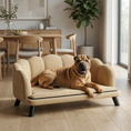 Load image into Gallery viewer, Dog lying on a small beige sofa in a modern living room.
