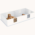 Load image into Gallery viewer, Dog Whelping Box with Two Rooms, Adjustable Door, for Large Breed Dogs, 96" x 47" x 19"
