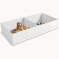 Load image into Gallery viewer, Pine Whelping Box with Easy Access & Pad for Large Dogs
