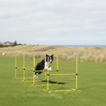 Load image into Gallery viewer, PawHut 4 Piece Dog Agility Training Equipment for Dog Agility Course with Adjustable Height Jump Bars, Included Carry Bag, & Displacing Top Bar, Yellow
