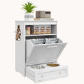 Load image into Gallery viewer, Pet Feeding Station with Dog Food Storage Cabinet and Pull-out Drawer Dog Bowls, White
