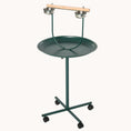 Load image into Gallery viewer, 48" Rolling T-Stand Bird Training Activity Playground With Perch
