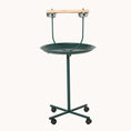 Load image into Gallery viewer, 48" Rolling T-Stand Bird Training Activity Playground With Perch
