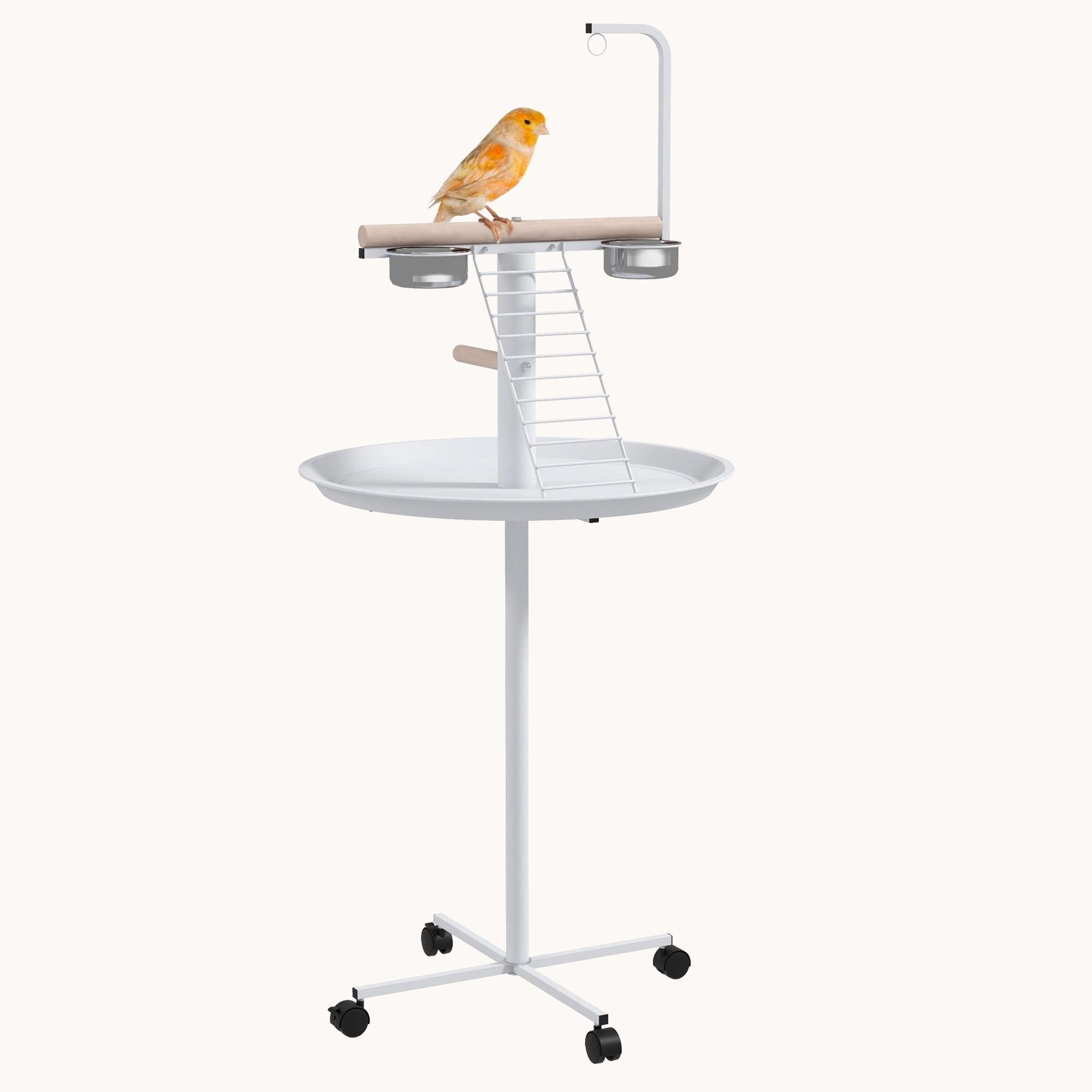 Bird Stand, Parrot Stand with Wheels, Perches, Stainless Steel Feed Bowls, Round Tray, Bird Play Stand for Indoor Outdoor, White