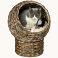 Load image into Gallery viewer, Nestique 20.5” Elevated Rattan Cat Bed – Cozy Egg-Style Hideaway
