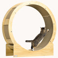Load image into Gallery viewer, 31" Cat Exercise Wheel, Cat Treadmill with Brake for Fitness & Healthy, Oak
