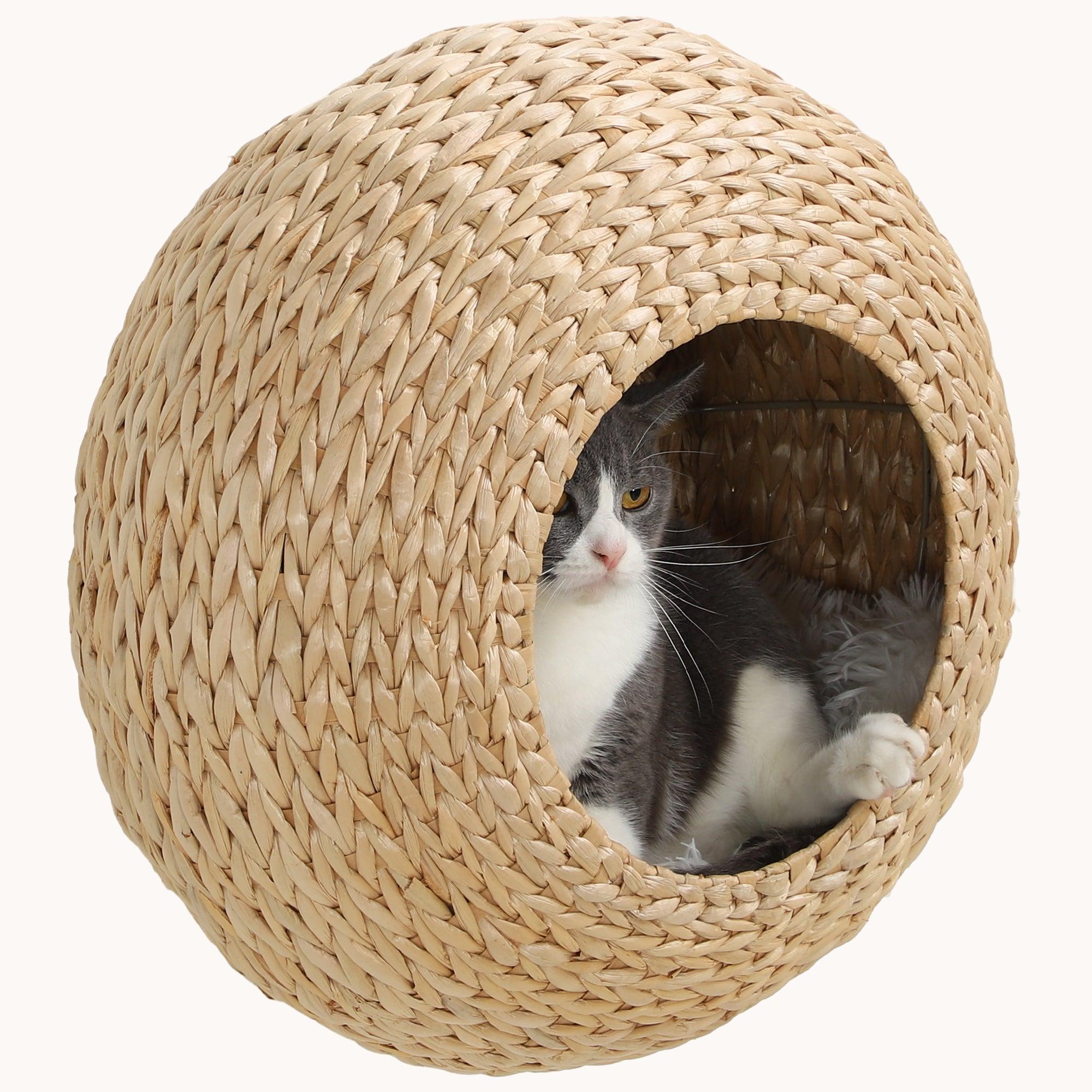 Wall-Mounted Cat Condo with Washable Cushion, Indoors Cat Wall Shelf, Natural Wood