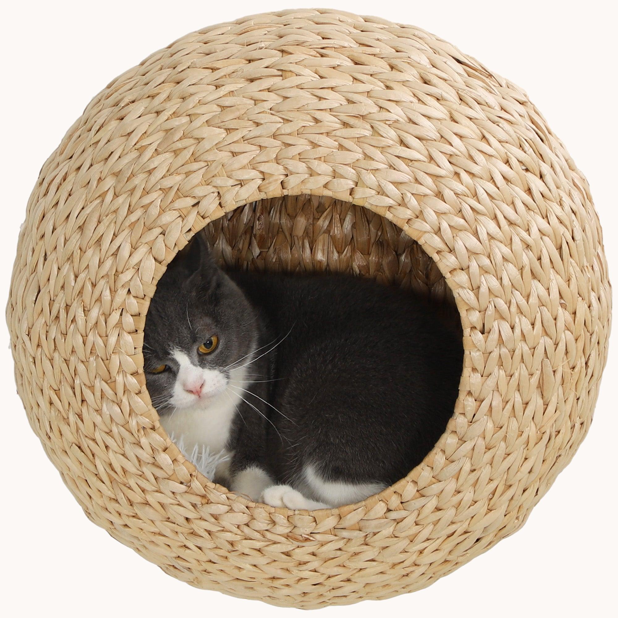 Wall-Mounted Cat Condo with Washable Cushion, Indoors Cat Wall Shelf, Natural Wood