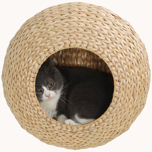 Wall-Mounted Cat Condo with Washable Cushion, Indoors Cat Wall Shelf, Natural Wood