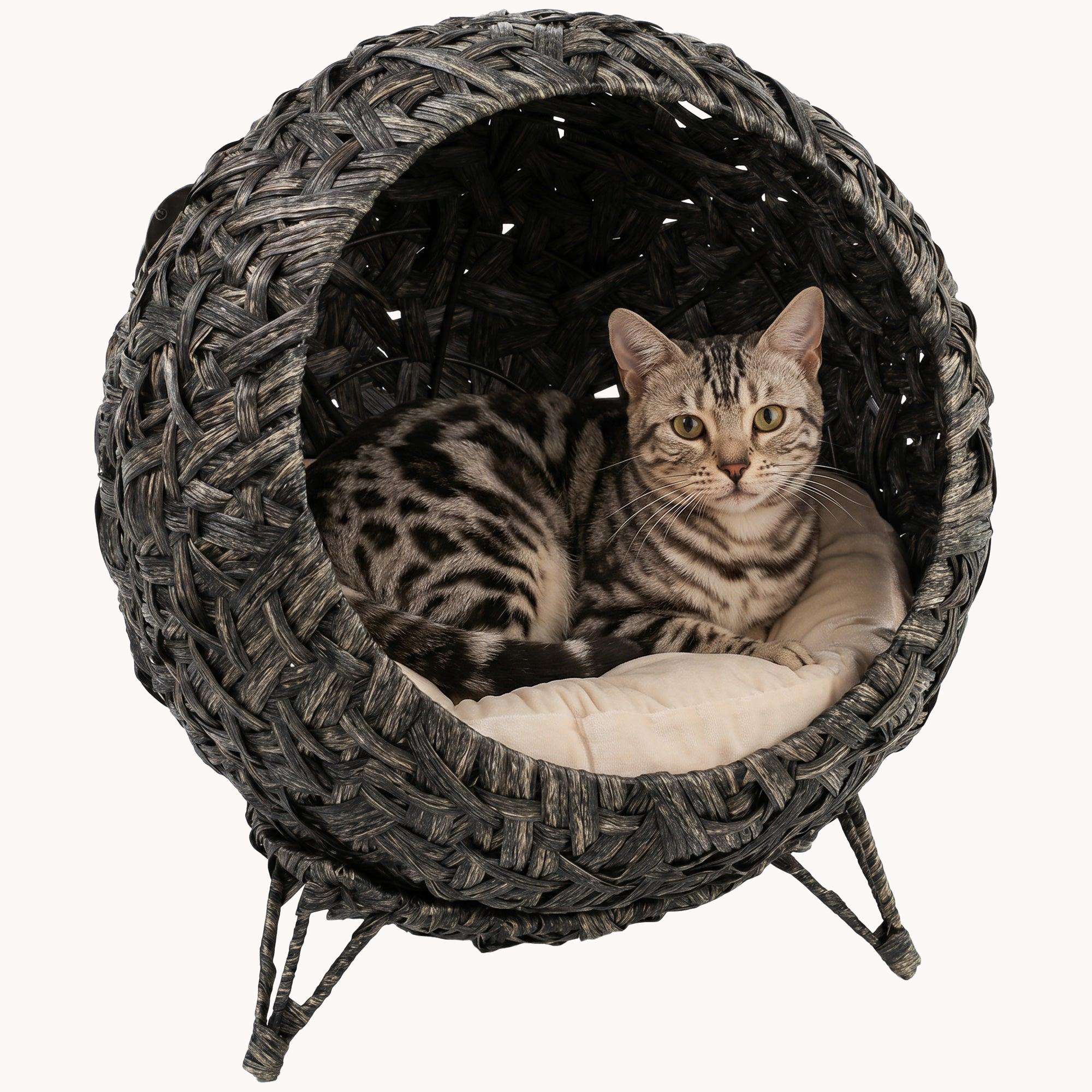 Elevated Handwoven Rattan Cat Bed with Soft Cushion and Metal Base Gray