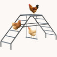 Load image into Gallery viewer, Convertible Outdoor Chicken Activity Swing & Roosting Perch Set
