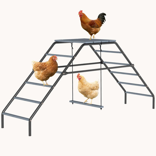 Convertible Outdoor Chicken Activity Swing & Roosting Perch Set