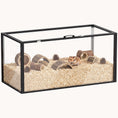 Load image into Gallery viewer, Large Acrylic Hamster Cage with Openable Top for Small Animals, Black
