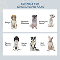 Load image into Gallery viewer, Raised Dog Bowl Feeding Bowls with Stand for Medium Dogs Elevated Pet Bowls Water Food Feeder 58L x 31W x 25H cm - Brown
