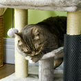 Load image into Gallery viewer, 19" Cat Tree, Small Cat Tower Condo with Sisal Scratching Post, Kitten Activity Centre with Bed, Self Groomer, Perch, Dangling Ball, Grey
