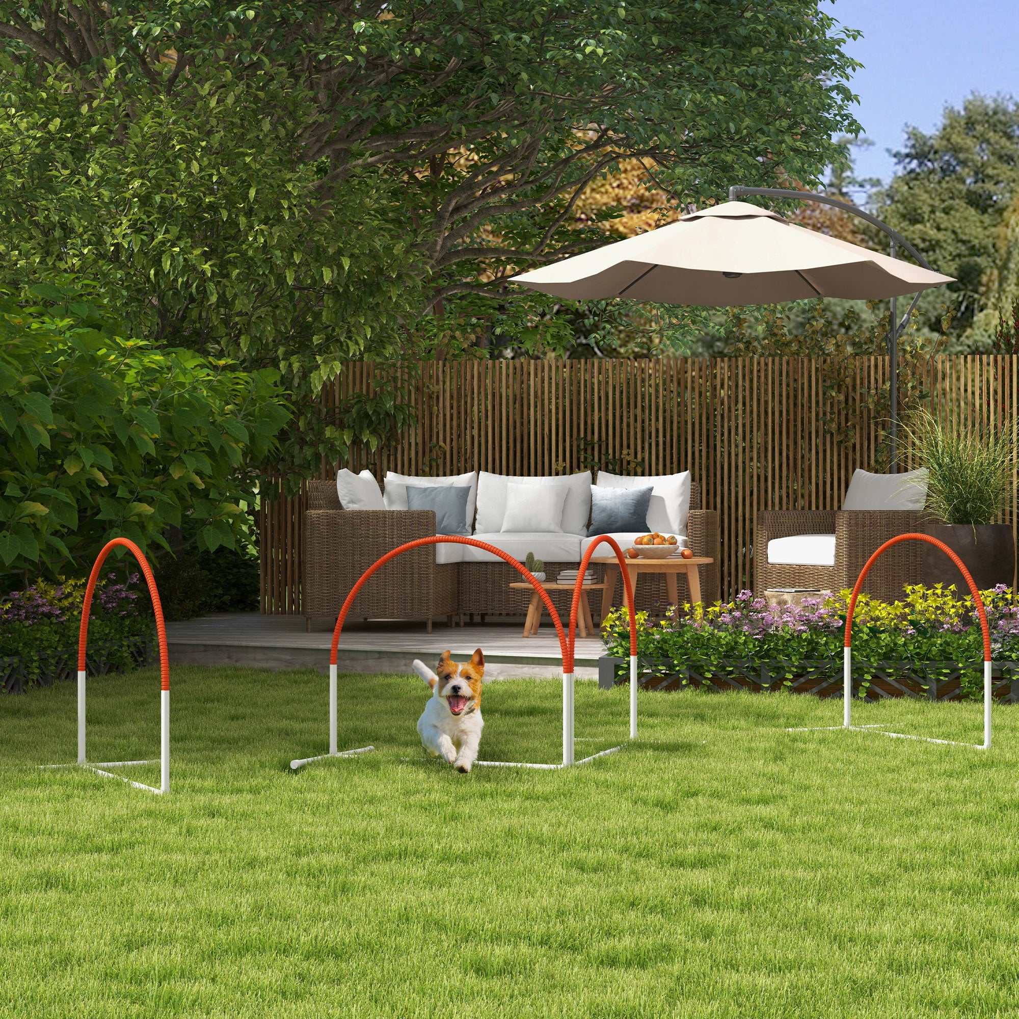 4 Pieces Dog Agility Training Equipment with Weave Poles, Training Starter Kit, Dog Obstacle Course, Pet Outdoor Games with Carry Bag, Orange