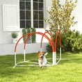 Load image into Gallery viewer, 4 Pieces Dog Agility Training Equipment with Weave Poles, Training Starter Kit, Dog Obstacle Course, Pet Outdoor Games with Carry Bag, Orange
