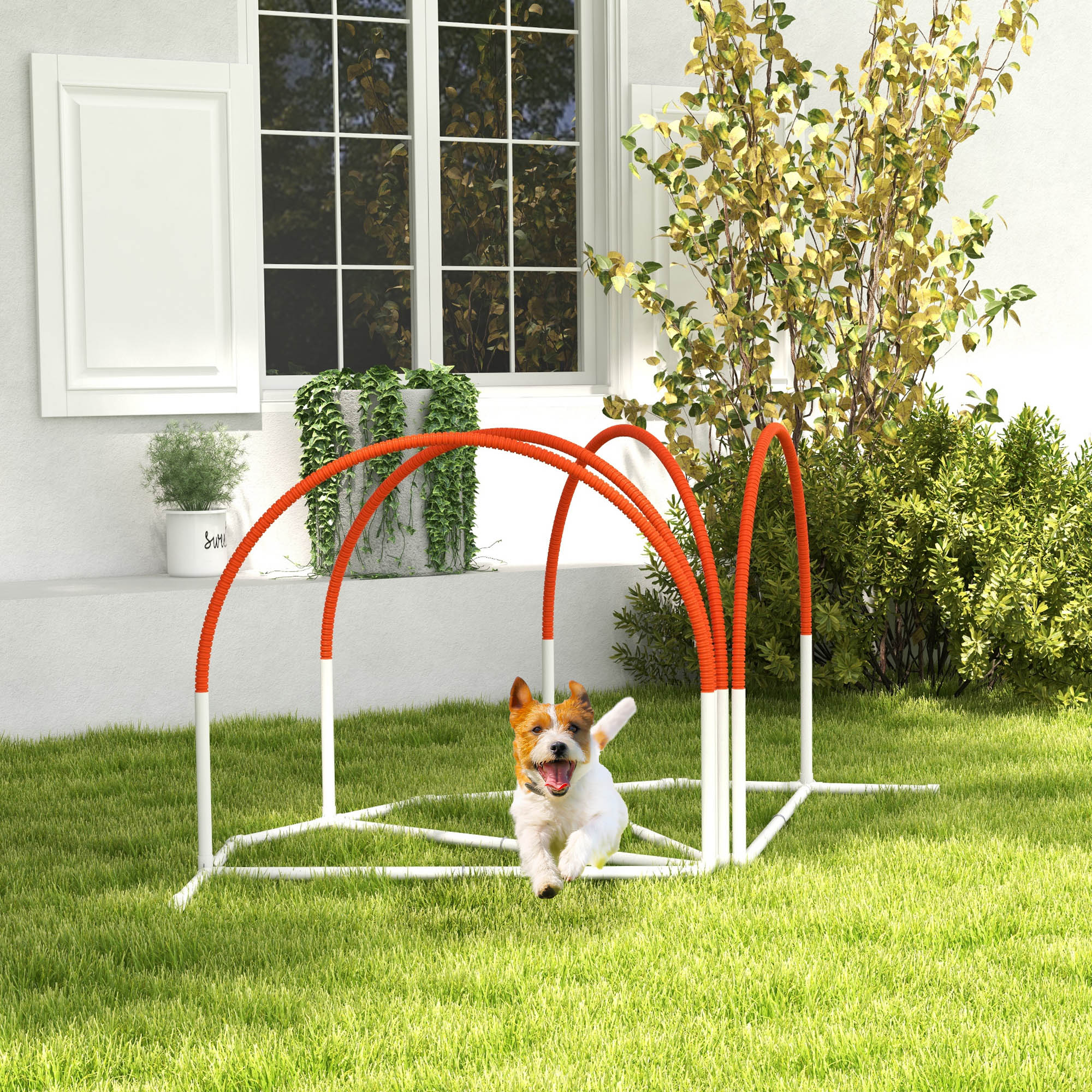 4 Pieces Dog Agility Training Equipment with Weave Poles, Training Starter Kit, Dog Obstacle Course, Pet Outdoor Games with Carry Bag, Orange