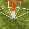 Load image into Gallery viewer, Dog Agility Equipment Set, Dog Agility Training Equipment for Dogs with Oxford Carry Bag, 4 PCS Weave Poles, Dog Obstacle Course, Pet Outdoor Games, Orange
