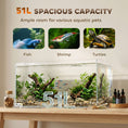 Load image into Gallery viewer, 51L Fish Tank, Glass Aquarium, Small Fish Tank with Protective Base Mat, for Shrimps, Turtles, Transparent, 60 x 30 x 30 cm

