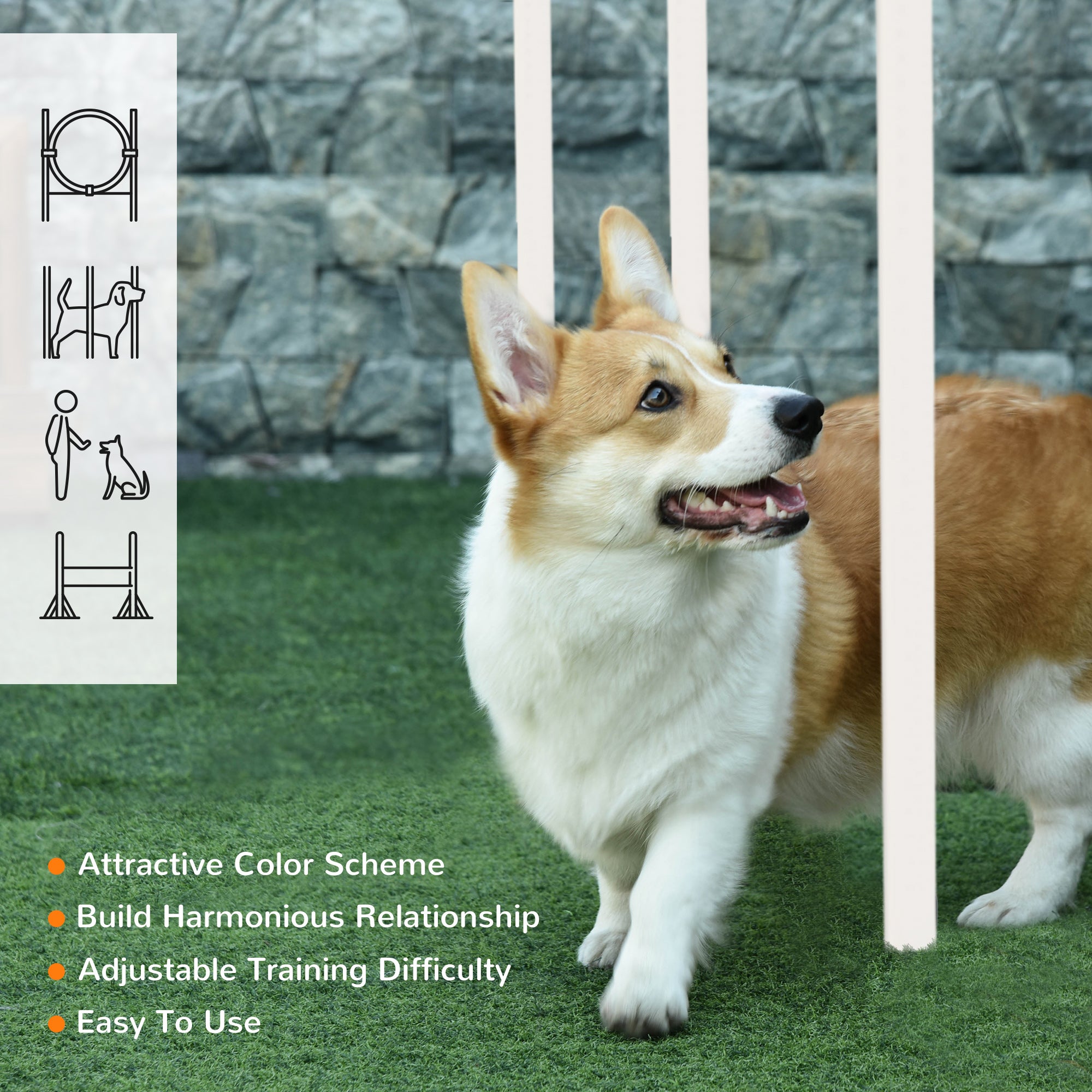 Dog Agility Training Equipment with Disc, Whistle, Weaves Poles, Adjustable Jumping Poles, Food Bag, 5 Pieces Dog Obstacle Course with Carry Bag, Multicoloured