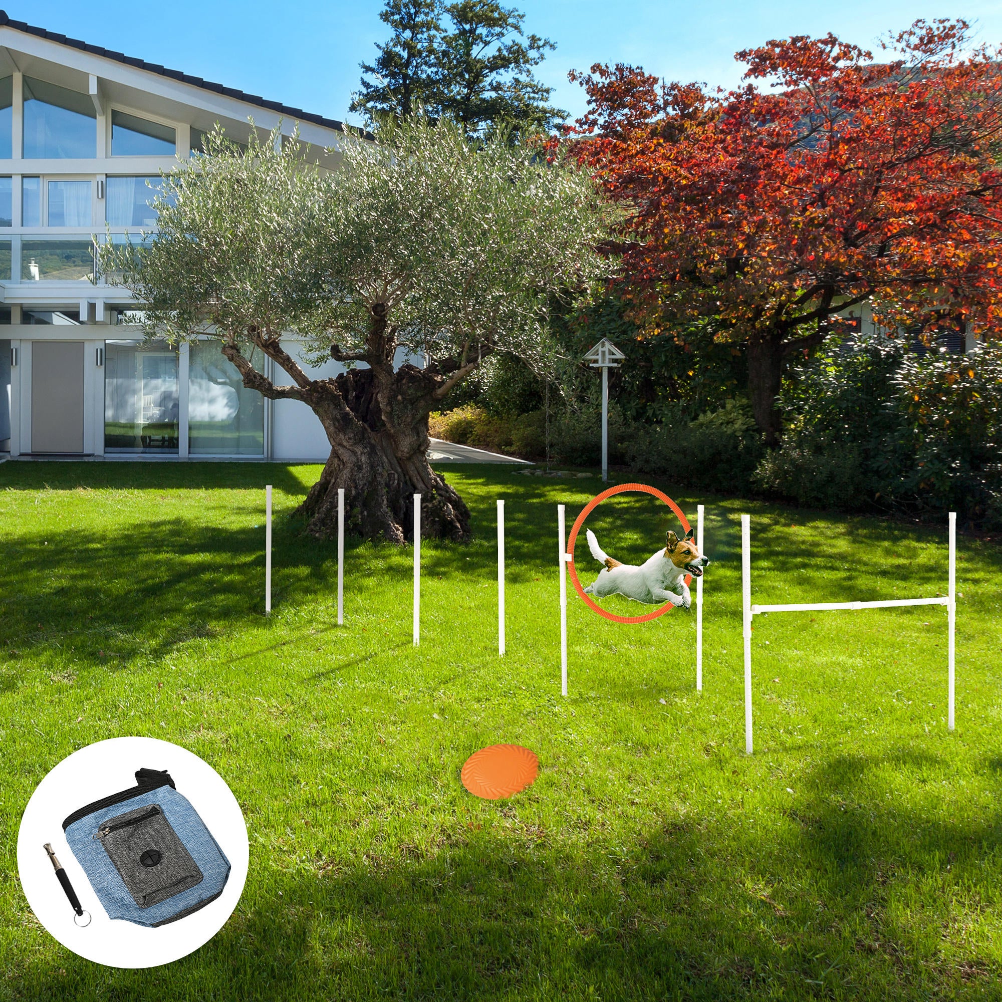 Dog Agility Training Equipment with Disc, Whistle, Weaves Poles, Adjustable Jumping Poles, Food Bag, 5 Pieces Dog Obstacle Course with Carry Bag, Multicoloured