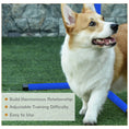 Load image into Gallery viewer, Large Size Dog Agility Training Equipment 4.5KG Net Wight, 4 PCS Adjustable Height Jump Bars, Obstacle Course Starter Kit for Large Medium Small Dog Puppy, Blue
