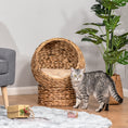 Load image into Gallery viewer, PawHut Handwoven Elevated Cat Bed with Soft Cushion & Cat Egg Chair Shape, Cat Basket Bed Kitty House with Stand, Raised Wicker Cat Bed for Indoor Cats, 23.5" H, Brown
