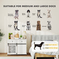 Charger l'image dans la visionneuse de la galerie, Dog Crate Furniture, 39" Dog Kennel Indoor with 2 Storage Drawers, Wheels, Sliding Door, Decorative End Side Table Pet House Cage for Medium and Large Breeds, White
