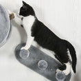 Load image into Gallery viewer, 4PCs Wall Mounted Cat Tree, Cat Wall Furniture with Platforms, Steps, Scratching Post, Perch, Cat House for Indoor Cats - Grey
