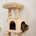 Charger l'image dans la visionneuse de la galerie, Cat Tree for Large Cat Adults, 41 Inch Cat Tower for Indoor Cats w/ Scratching Posts, Cat Bed, Condo, Grooming Brush, Jumping Platforms, Toy Balls, Anti-tip Kit, Beige
