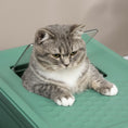Load image into Gallery viewer, PawHut Fully Enclosed Cat Litter Box with Scoop, Hooded Cat Litter House with Drawer Type Tray, Foldable Smell Proof Cat Potty with Front Entry, Top Exit, Portable Pet Toilet with Large Space, Green
