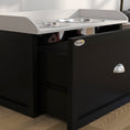 Load image into Gallery viewer, PawHut Dog Feeding Station with Storage Drawer, Dog Food Storage Cabinet with 2 Removable Elevated Dog Bowls for Large Sized Dogs, White and Black
