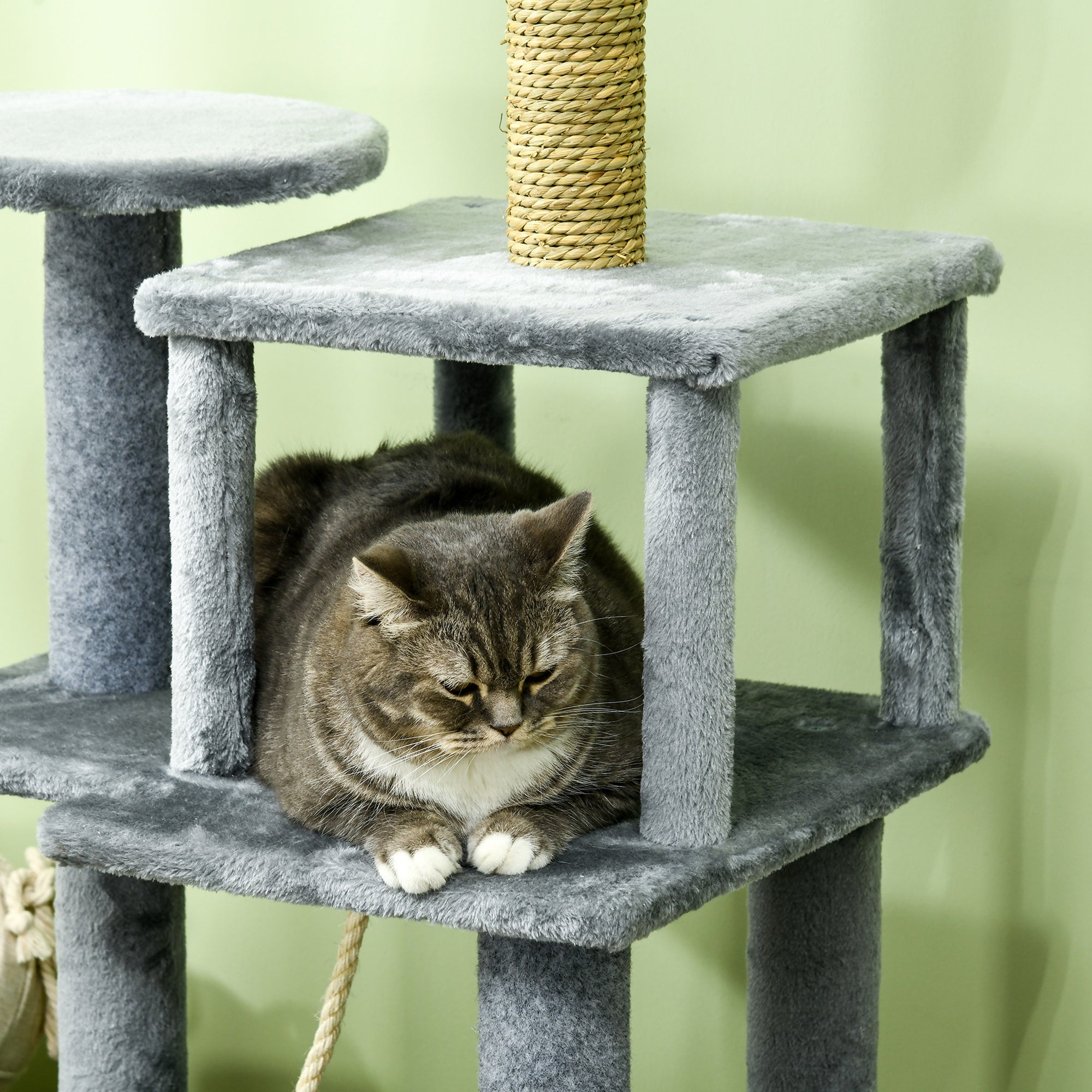 54" Cat Tree for Larger Cats Adult with Hammock, Tal Cat Tree Tower with Scratching Post, Condo, Platforms, Play Balls for Indoor Cats, Grey