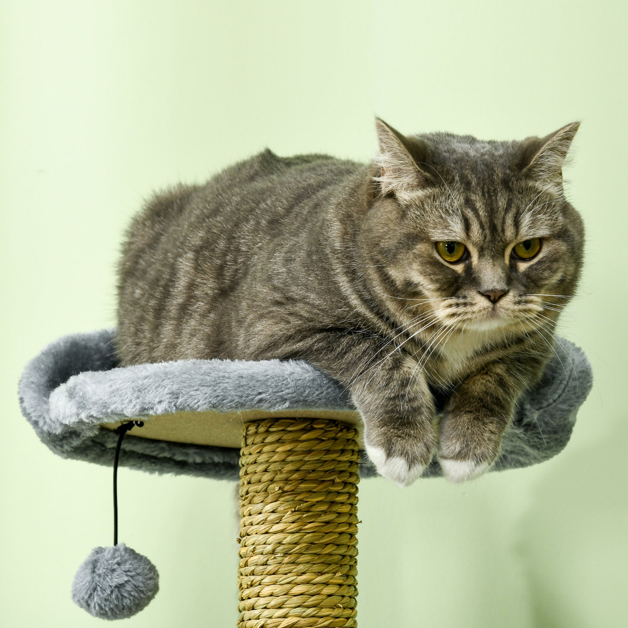 54" Cat Tree for Larger Cats Adult with Hammock, Tal Cat Tree Tower with Scratching Post, Condo, Platforms, Play Balls for Indoor Cats, Grey